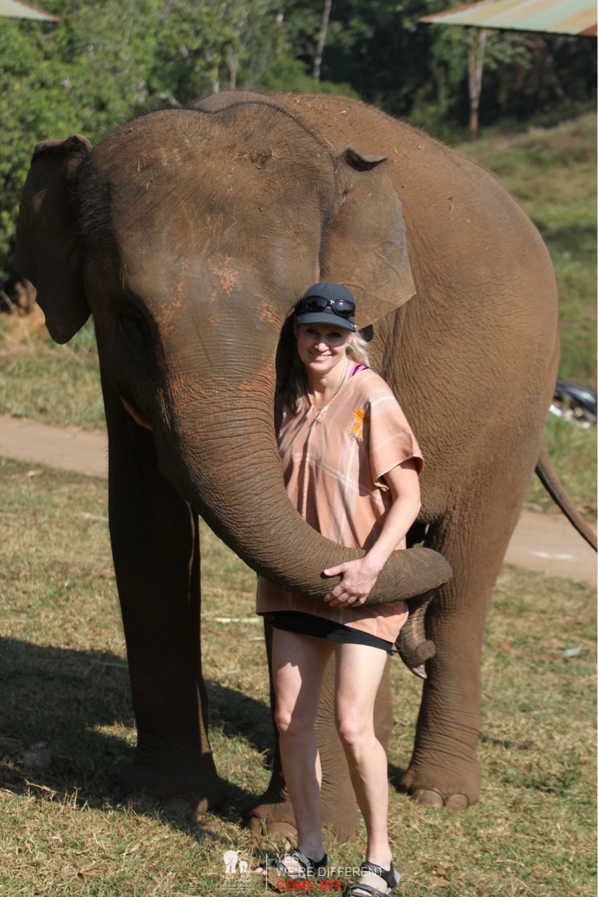 2026-01-24_10-15-10_Elephants_9210-15-10