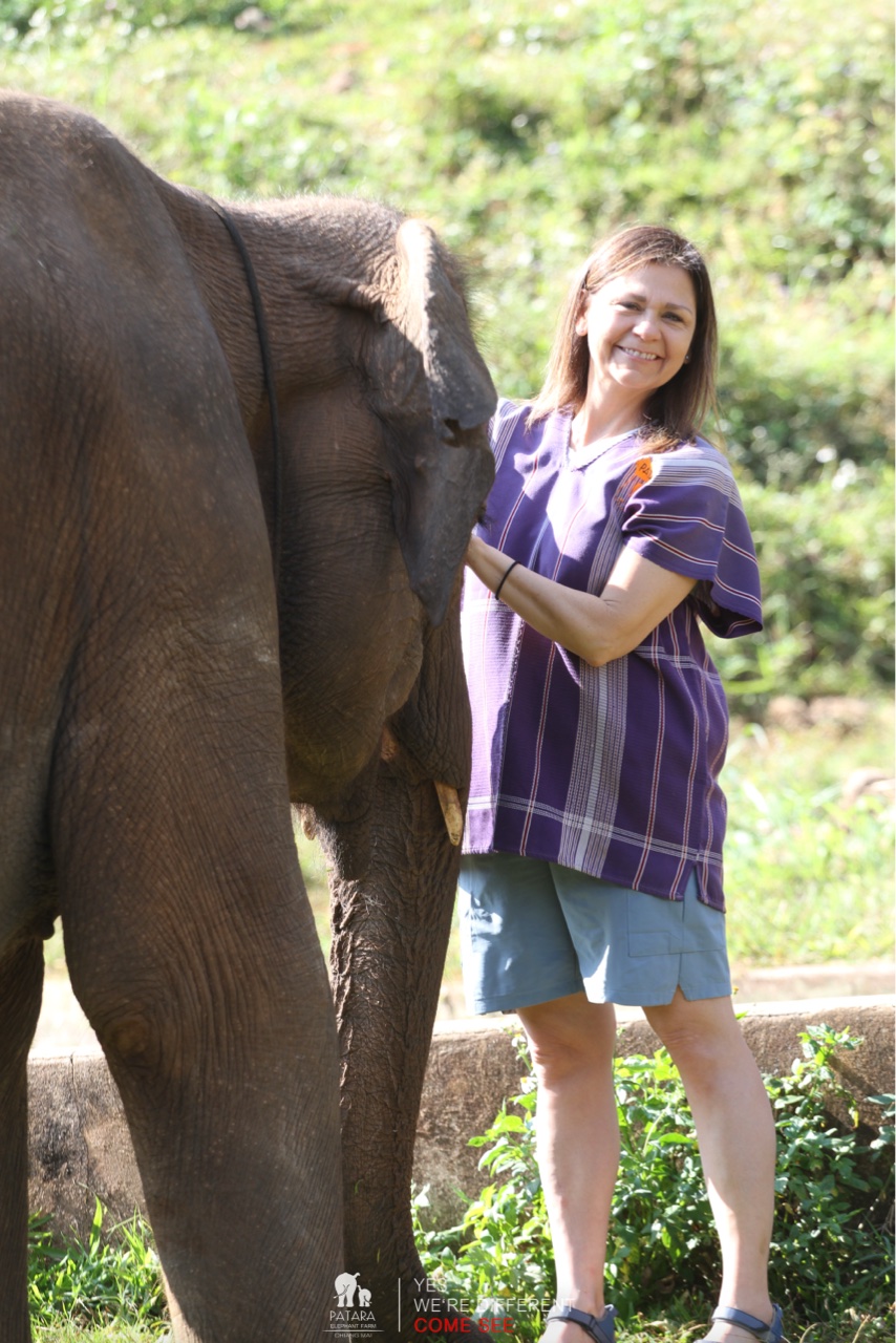 2026-01-24_10-16-07_Elephants_9306