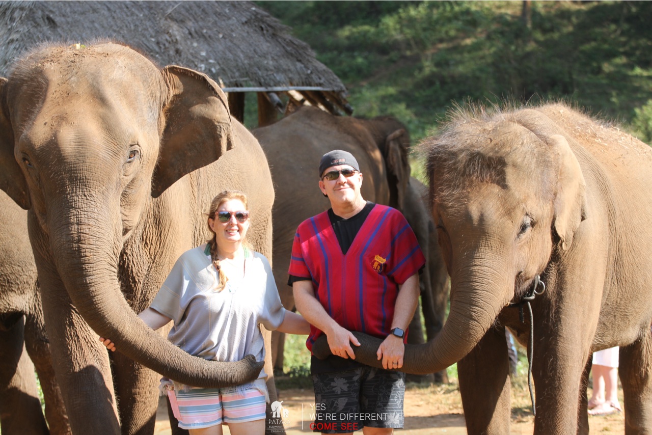 2026-01-24_10-19-03_Elephants_9316