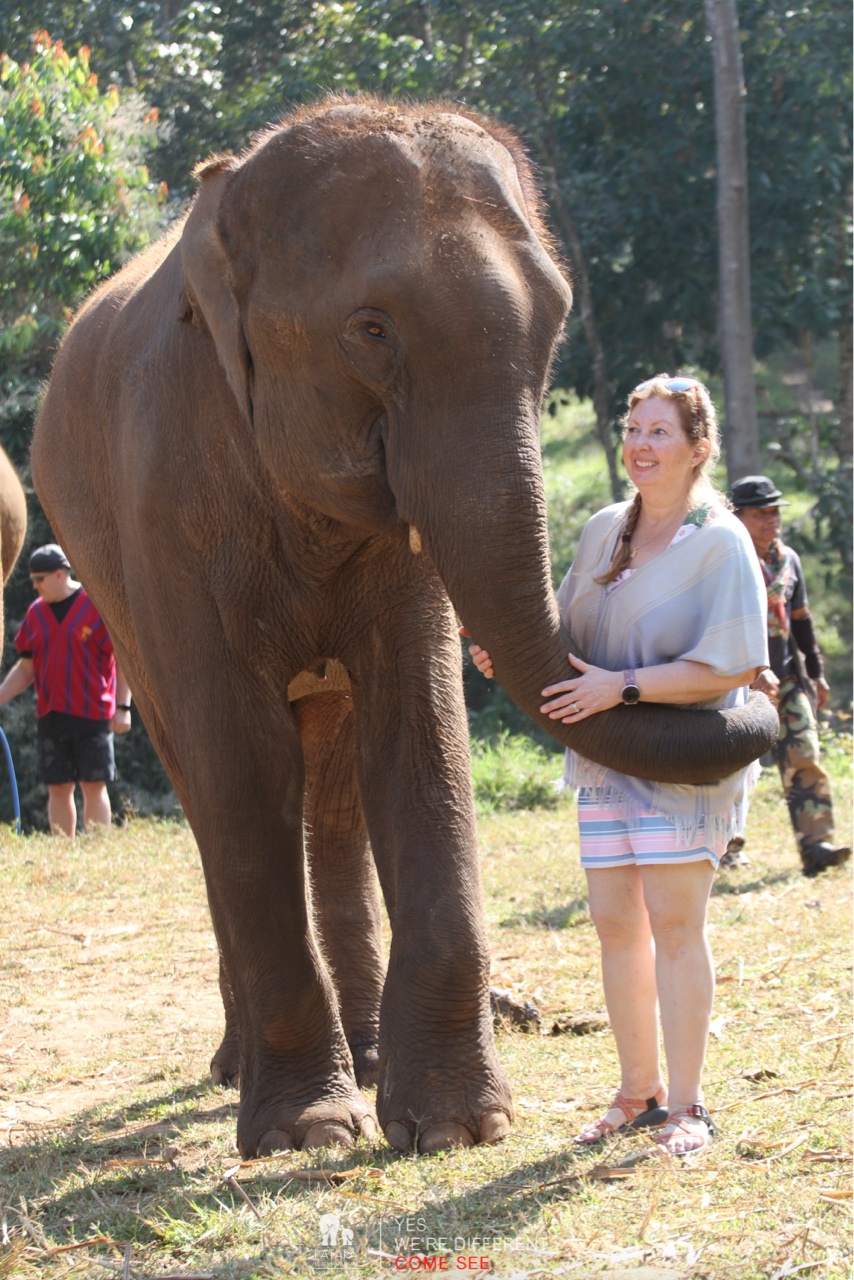 2026-01-24_10-20-30_Elephants_9278