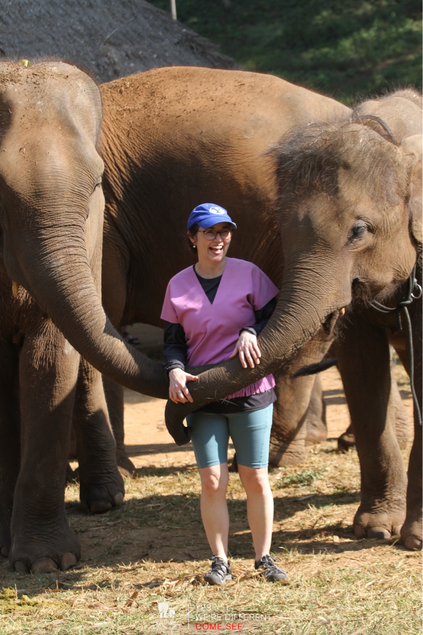 2026-01-24_10-20-31_Elephants_9311