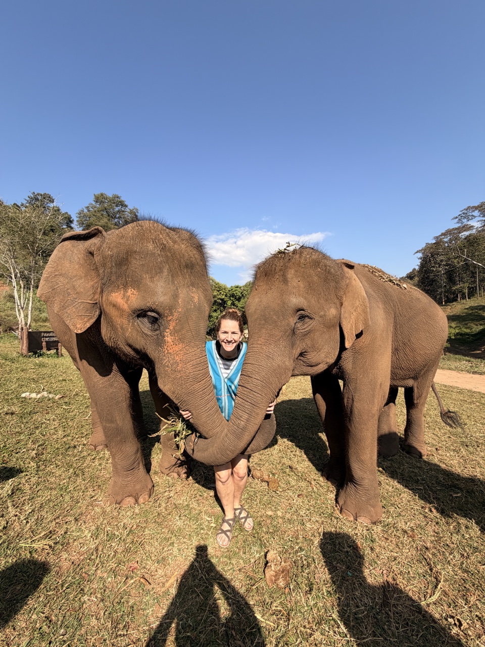 2026-01-24_10-21-59_Sharon_1992