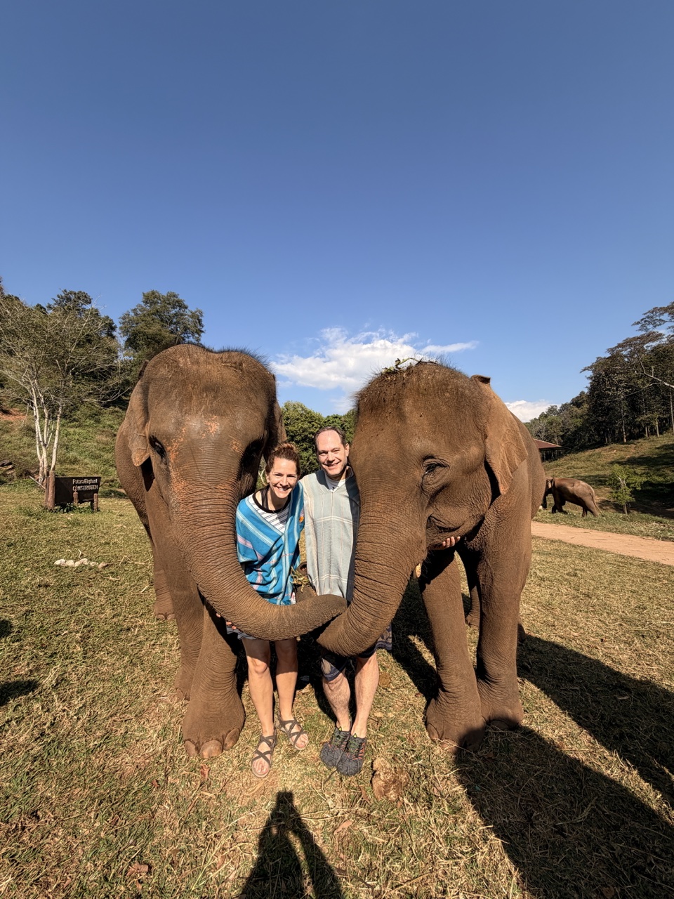 2026-01-24_10-22-16_Sharon_2011