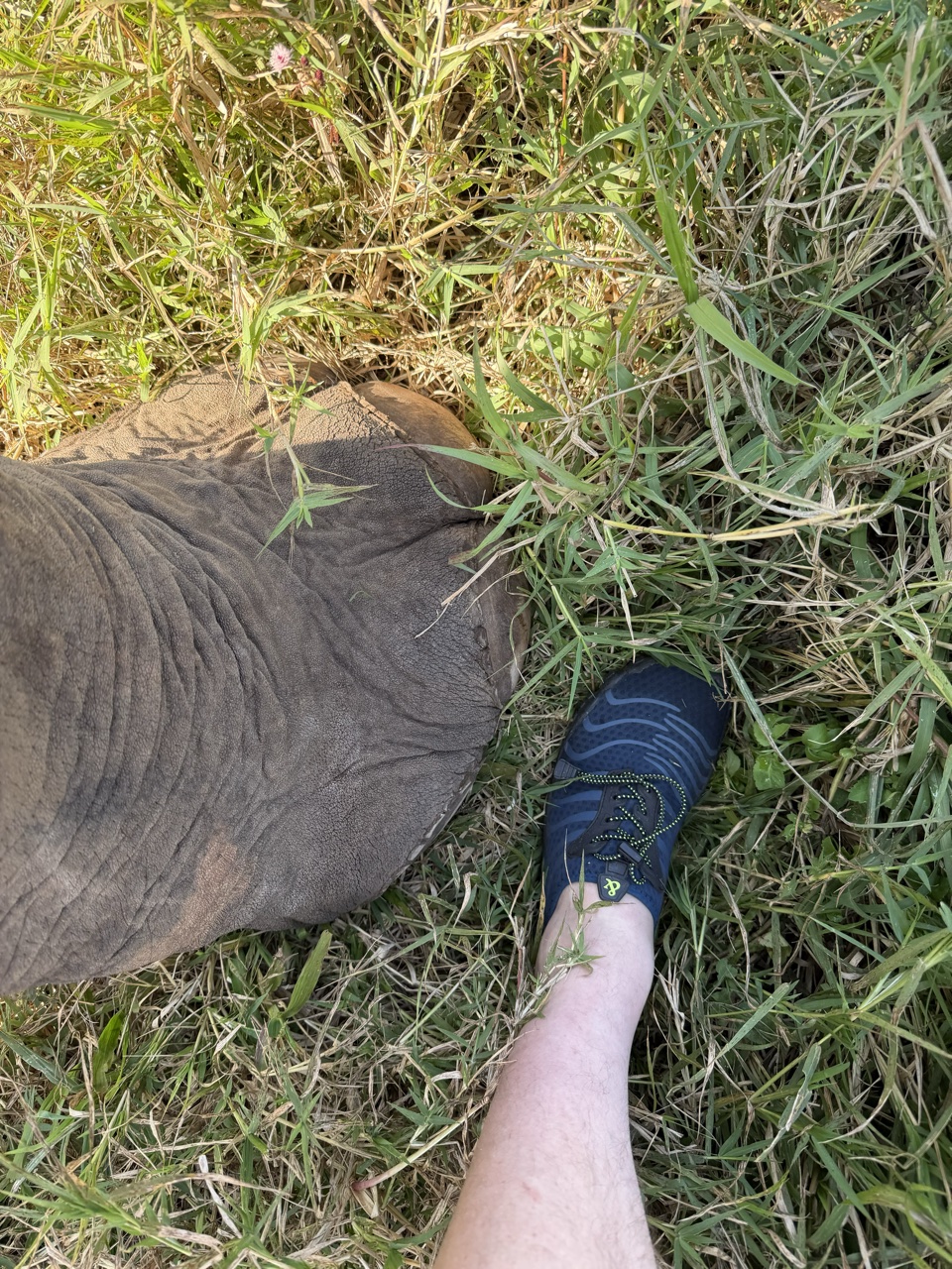 2026-01-24_10-25-25_Randy_3729