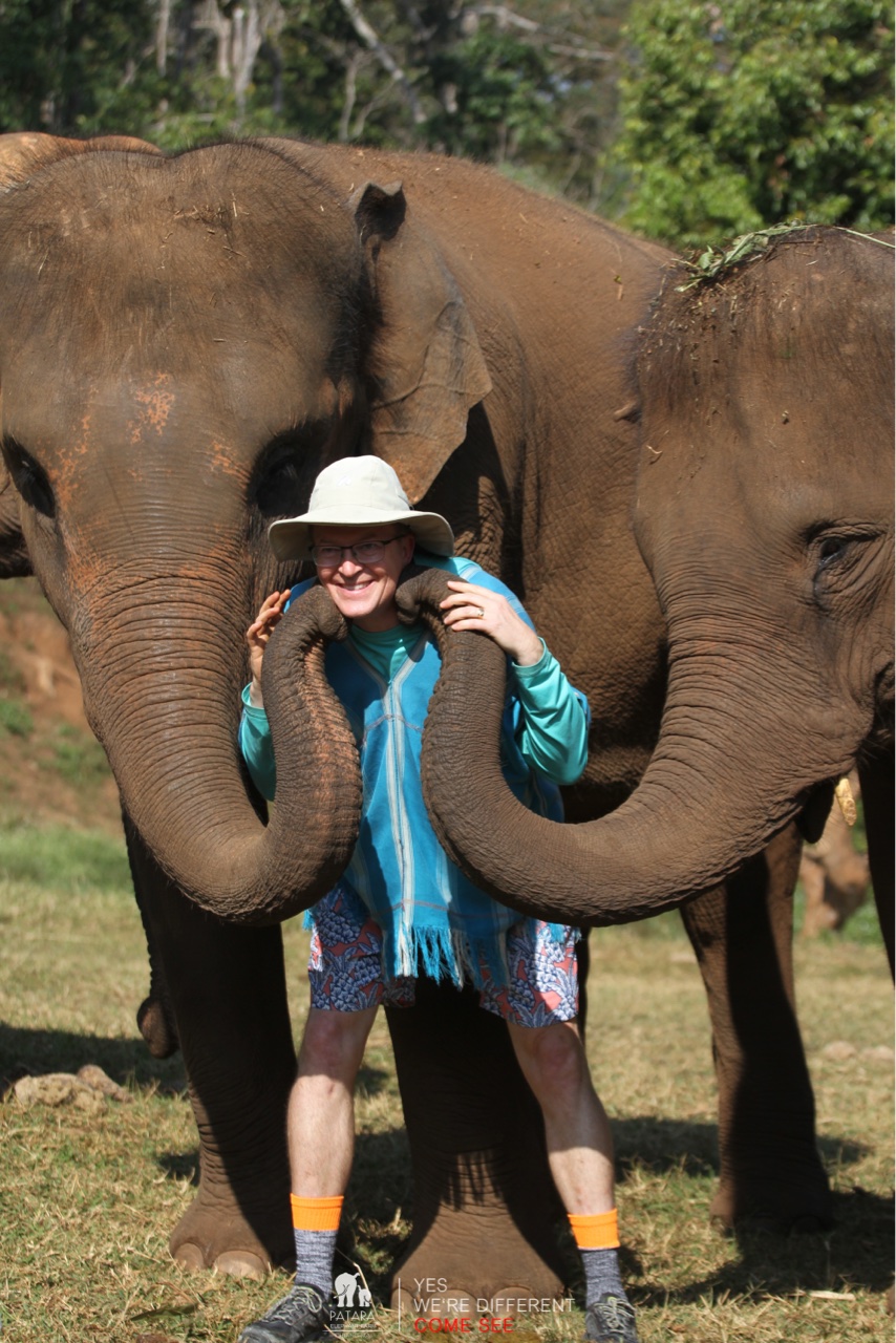 2026-01-24_10-26-21_Elephants_9324