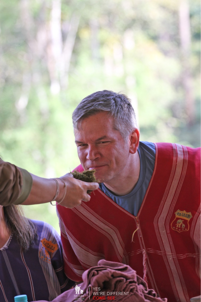 2026-01-24_10-37-31_Elephants_9341