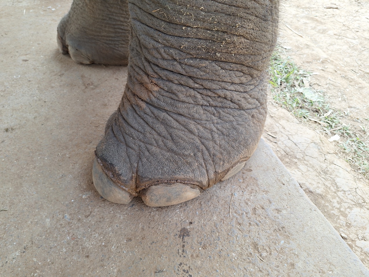 2026-01-24_10-40-14_Landon_231