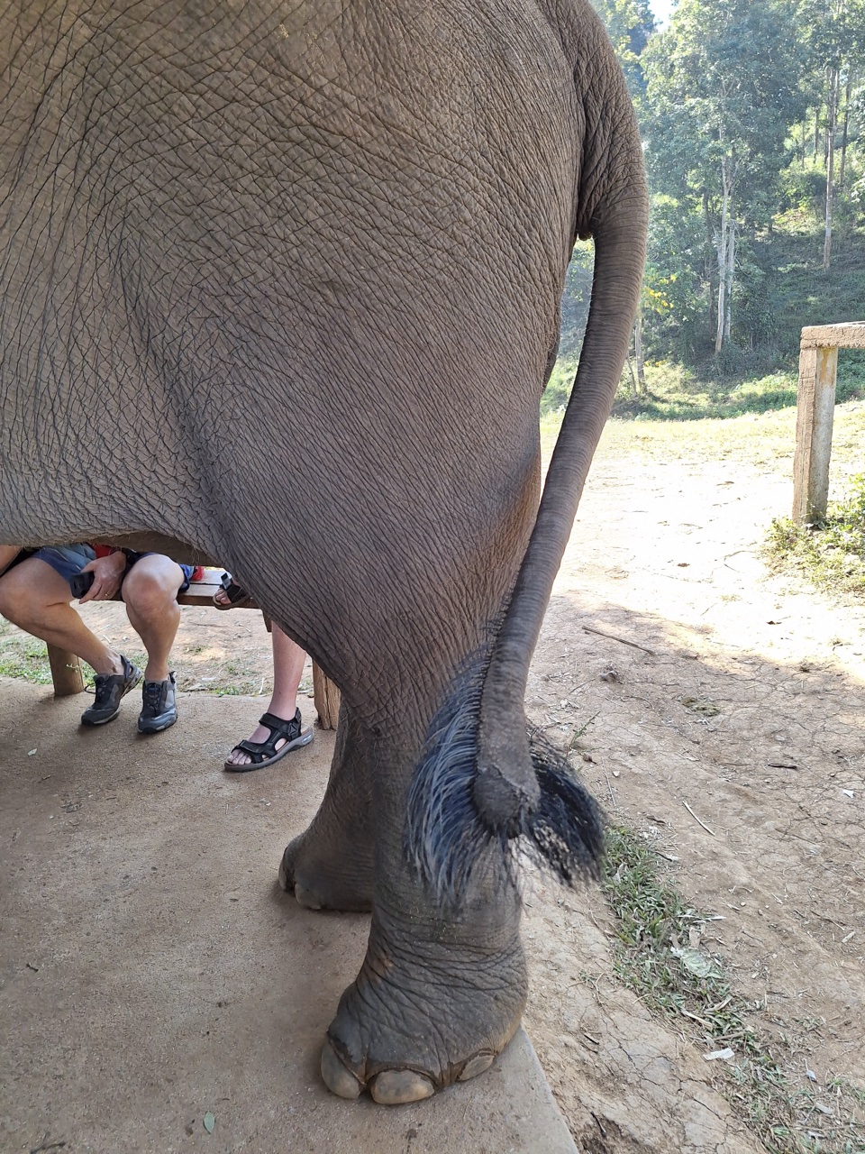 2026-01-24_10-40-20_Landon_232