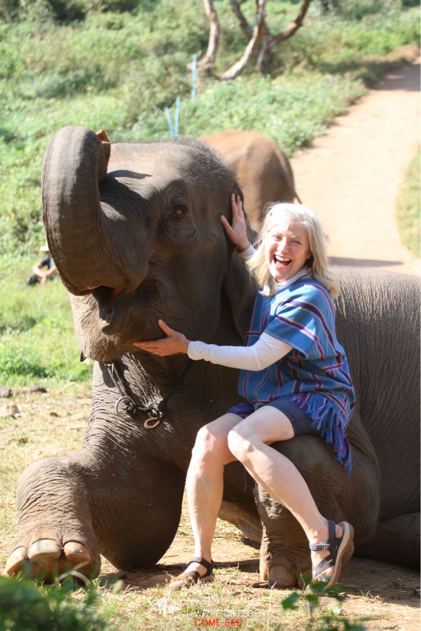 2026-01-24_10-44-34_Elephants_9353