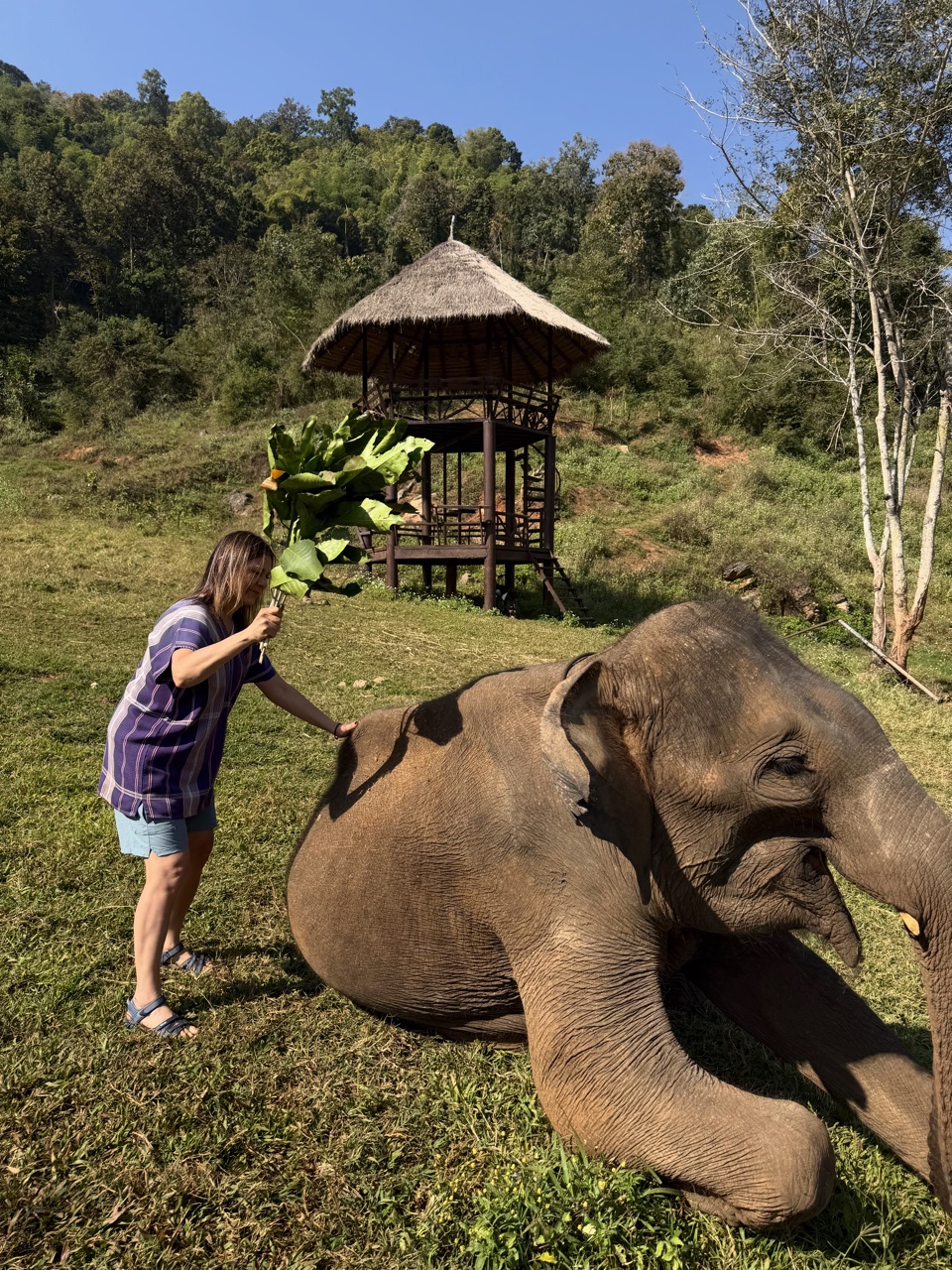 2026-01-24_10-48-08_Linette_5527