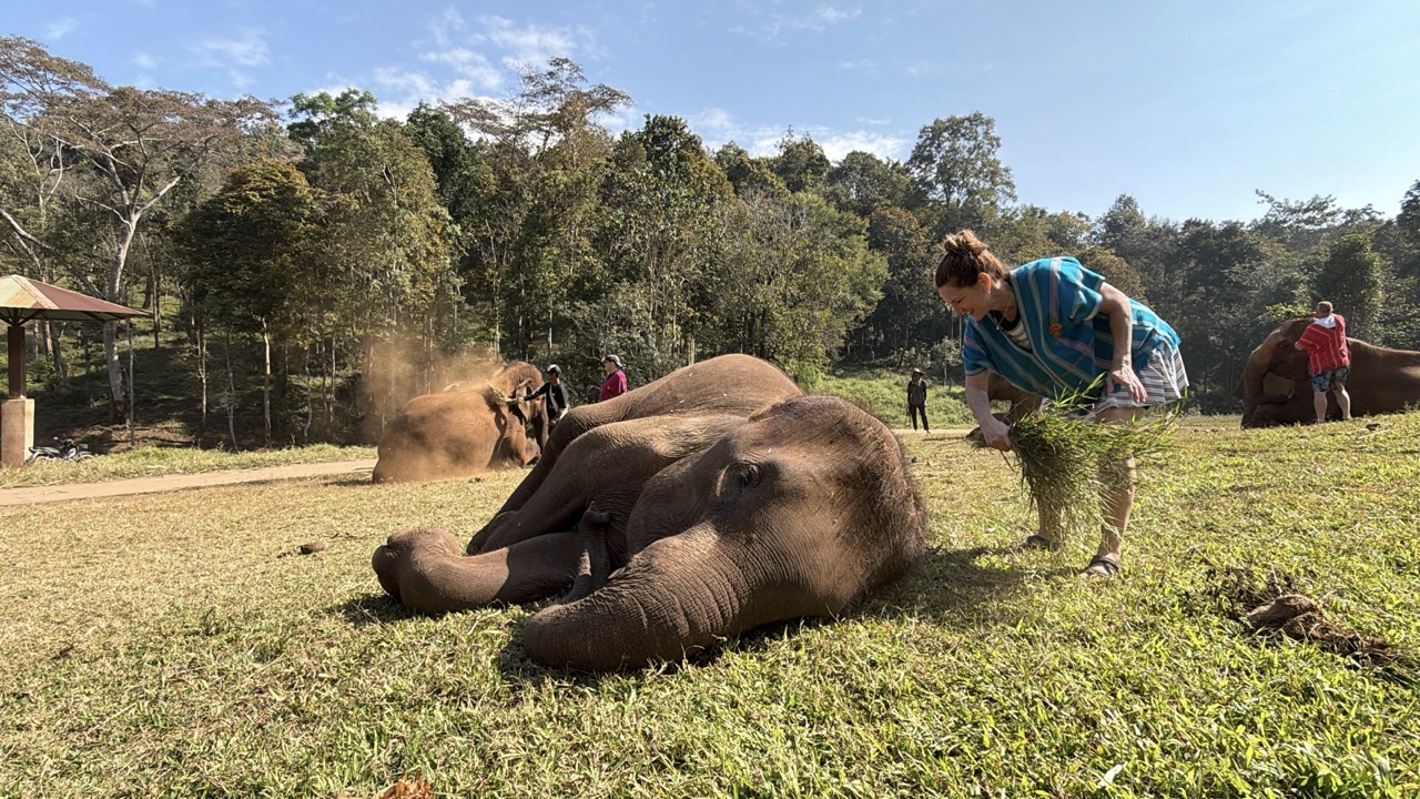 2026-01-24_10-48-48_Sharon_2078