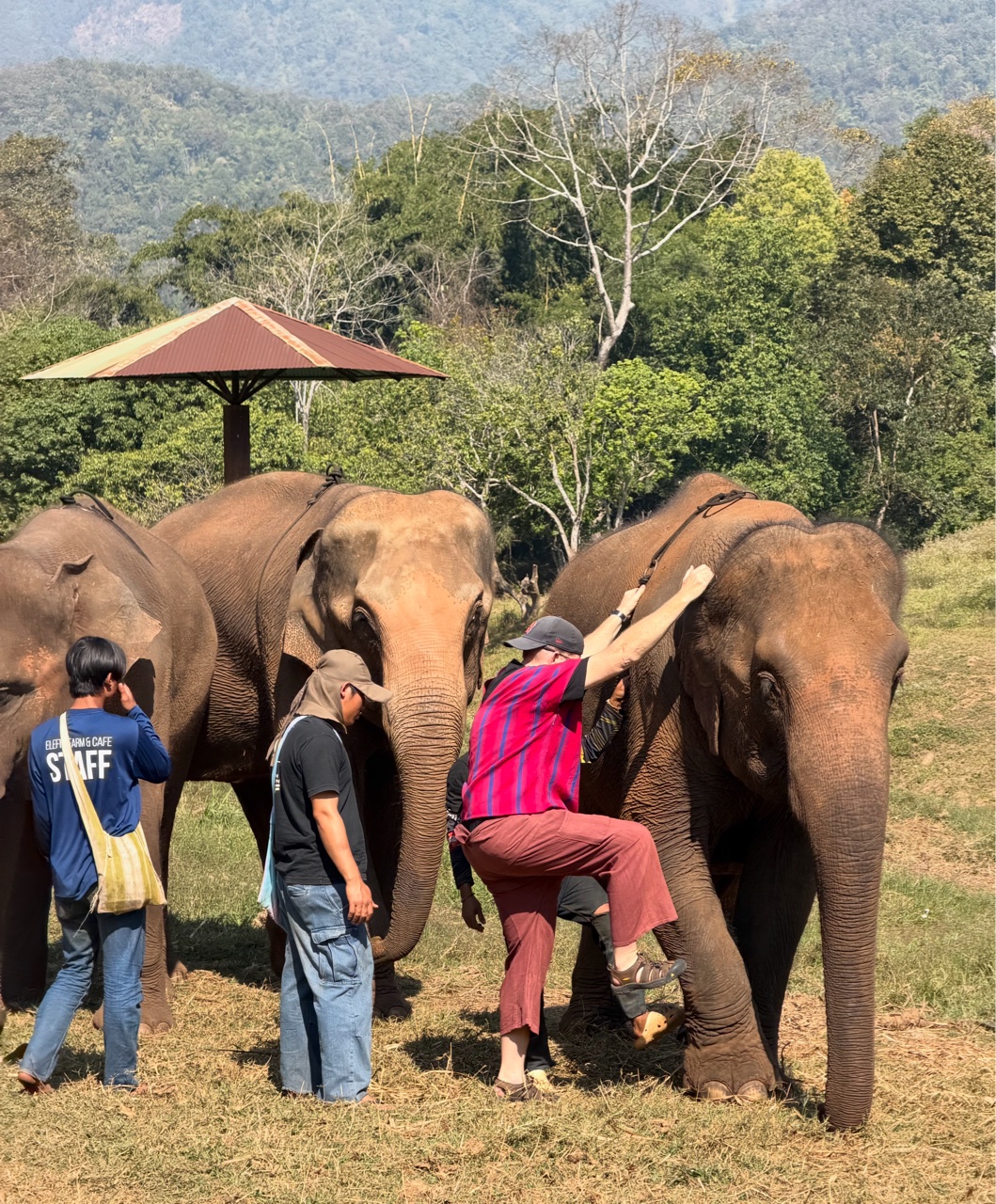 2026-01-24_11-02-05_Linette_5538