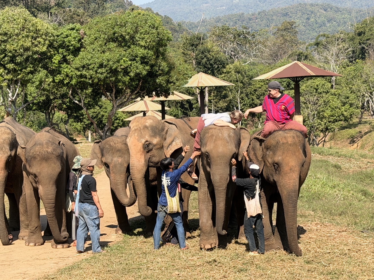 2026-01-24_11-03-06_Randy_3787