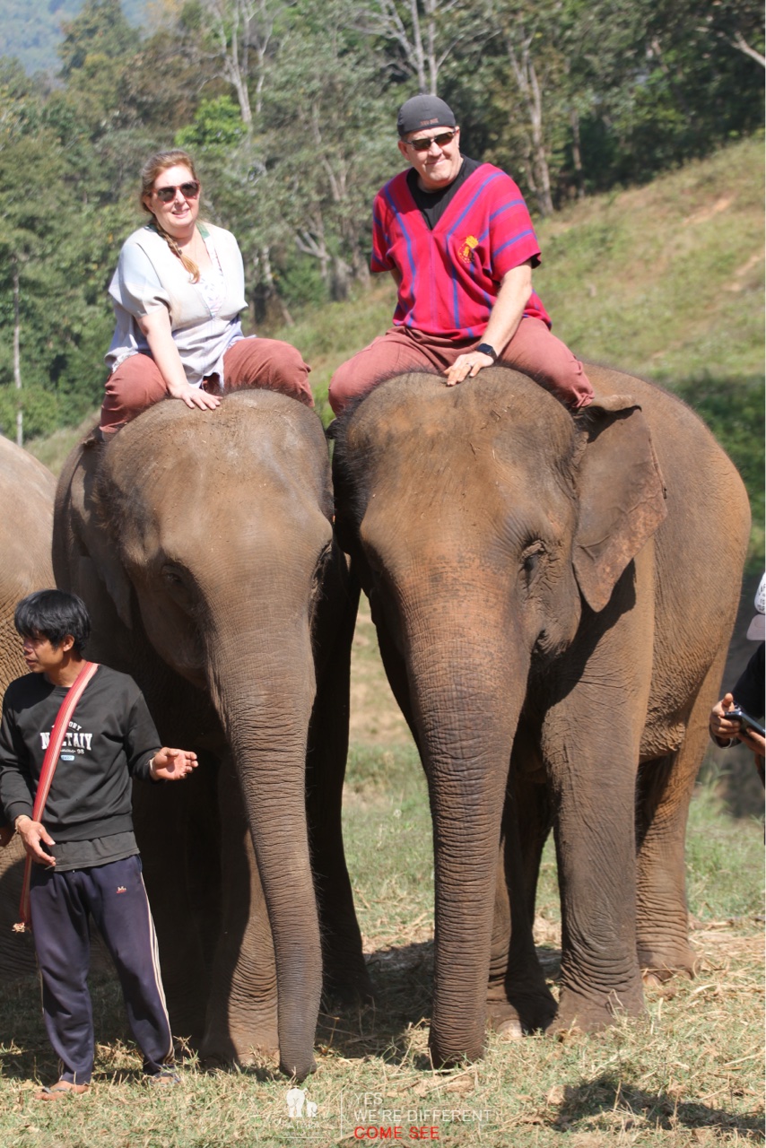 2026-01-24_11-03-10_Elephants_9423