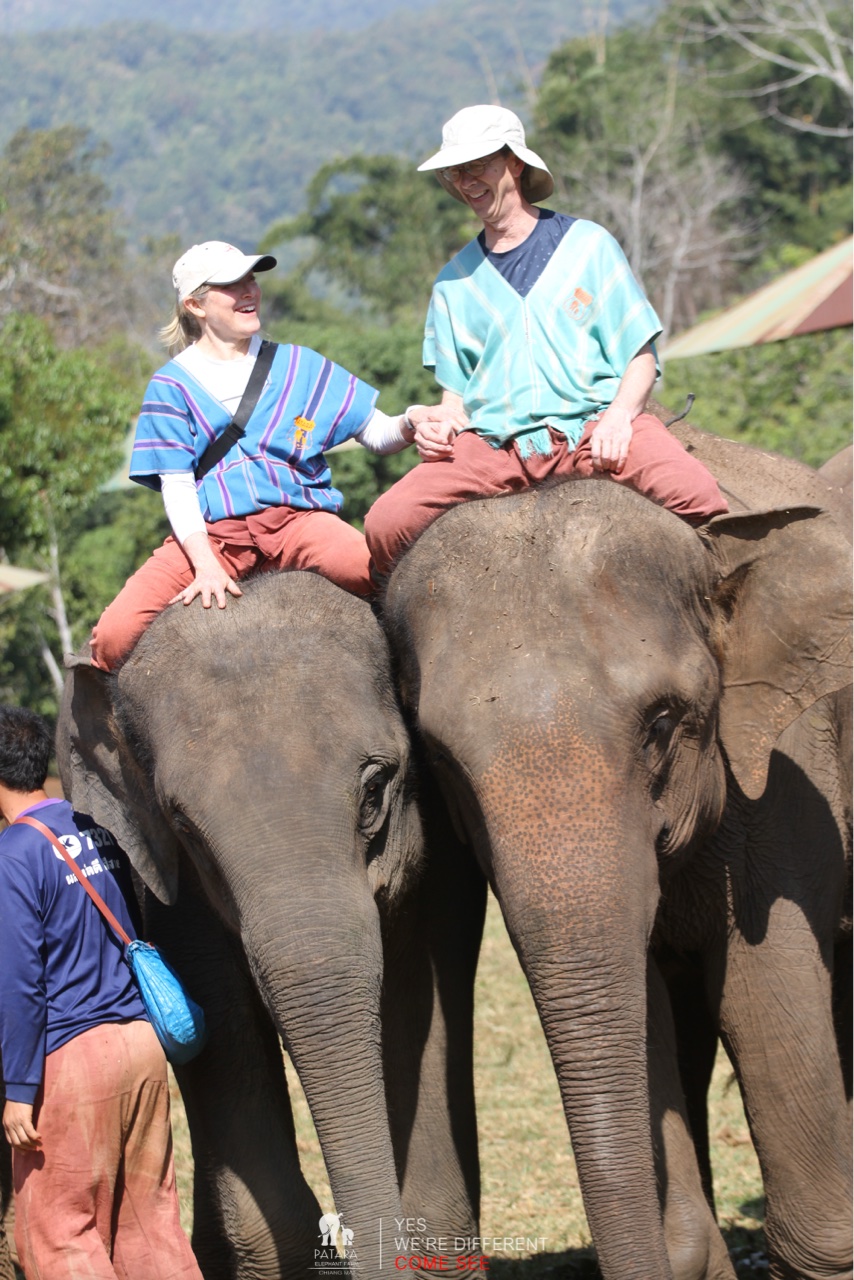 2026-01-24_11-08-10_Elephants_9447