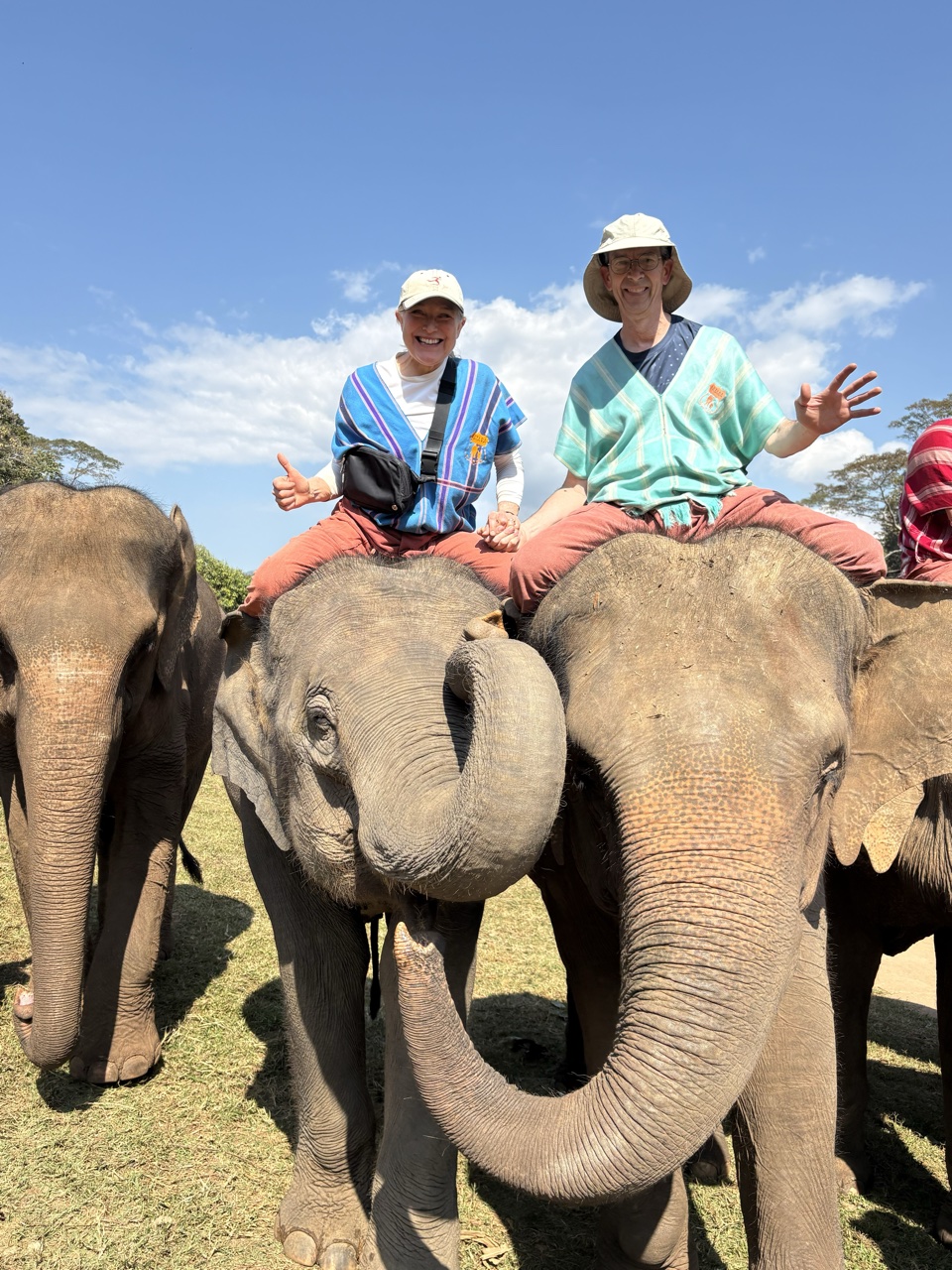 2026-01-24_11-10-32_Lesa_0636