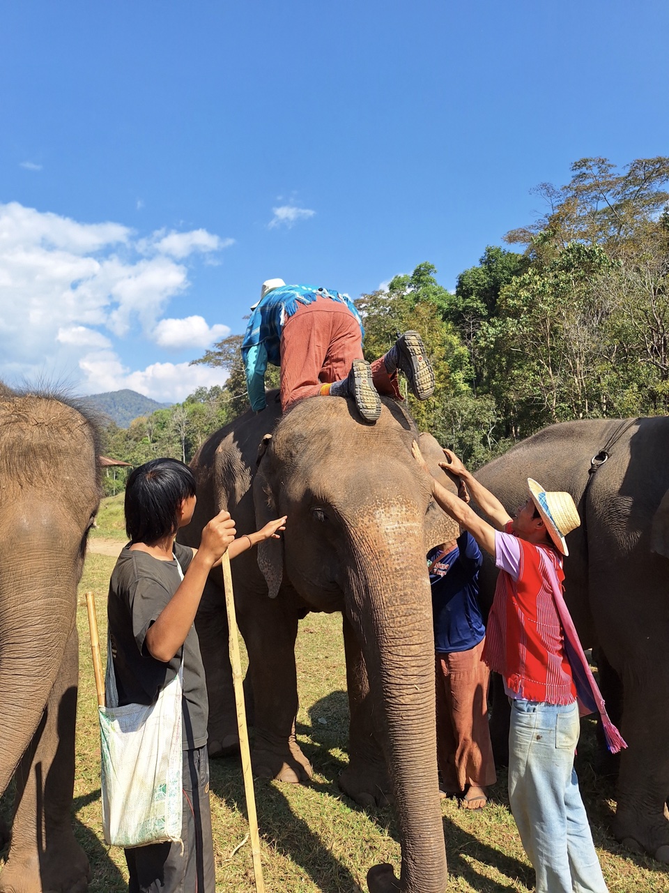 2026-01-24_11-10-55_Landon_238