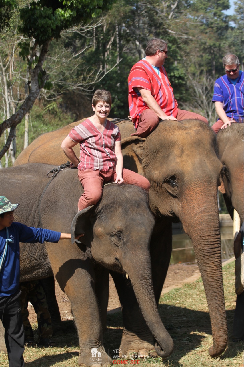 2026-01-24_11-15-00_Elephants_9464