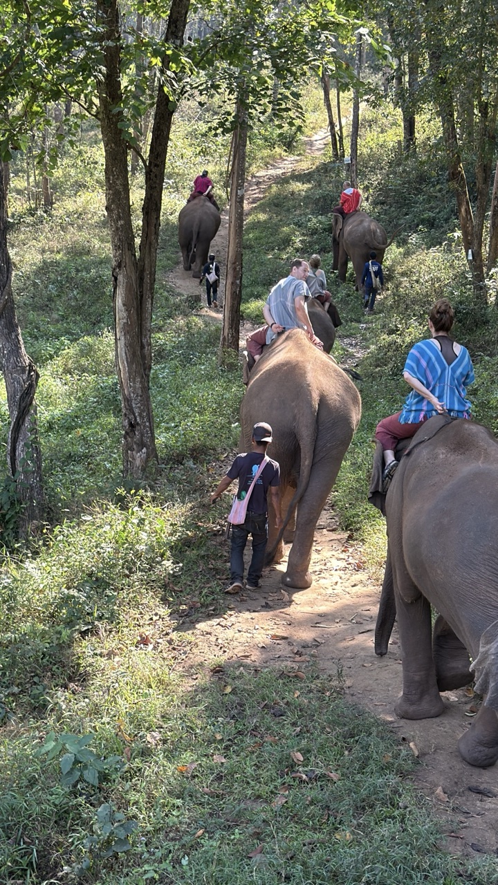 2026-01-24_11-15-12_Randy_E3802