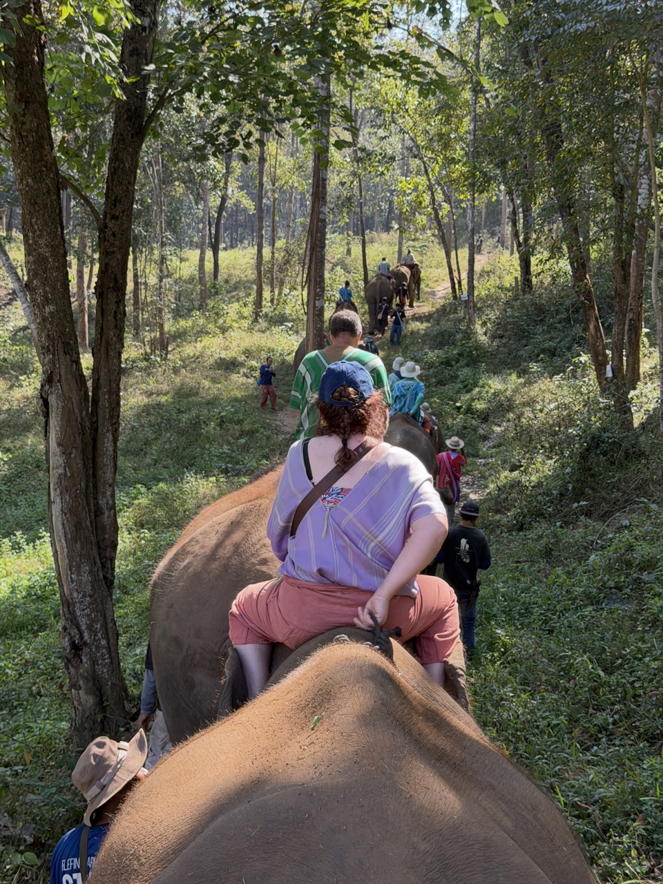 2026-01-24_11-16-04_Linette_5564