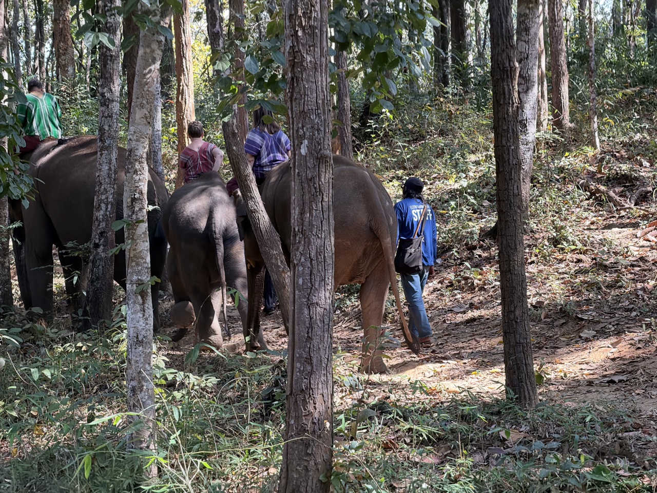 2026-01-24_11-23-57_Randy_3872