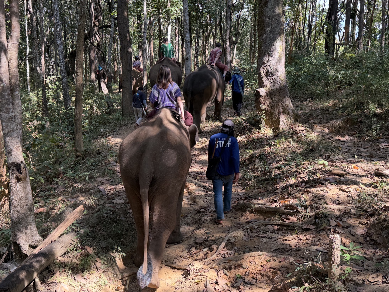 2026-01-24_11-24-23_Randy_3884