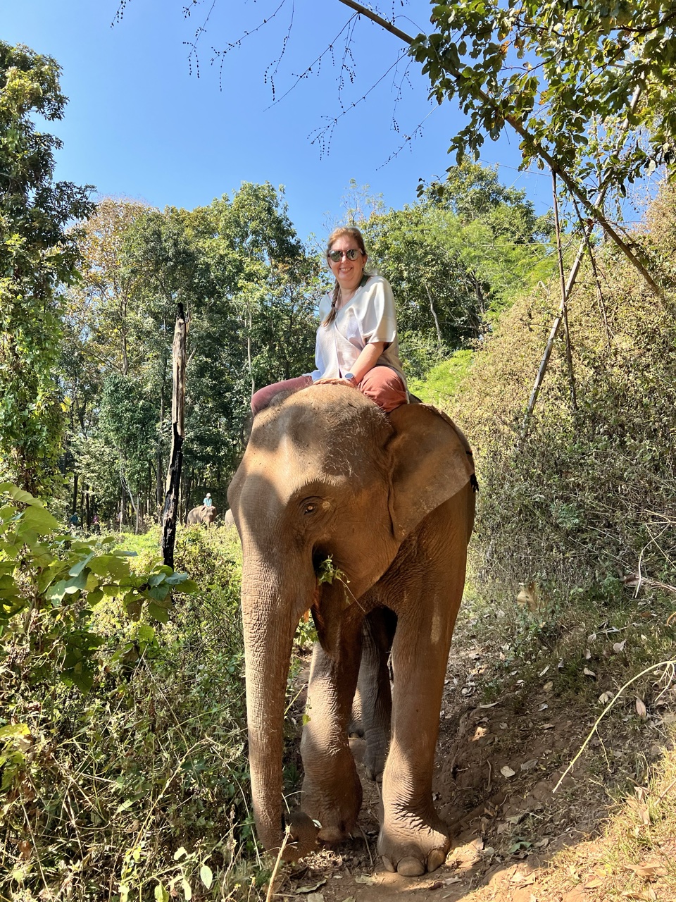 2026-01-24_11-29-48_Devo_7803