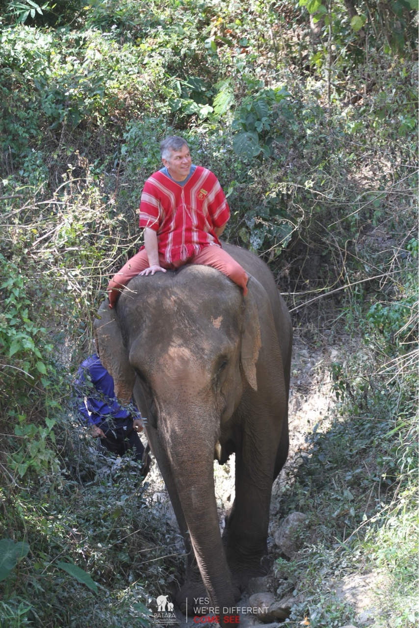 2026-01-24_11-48-00_Elephants_9534