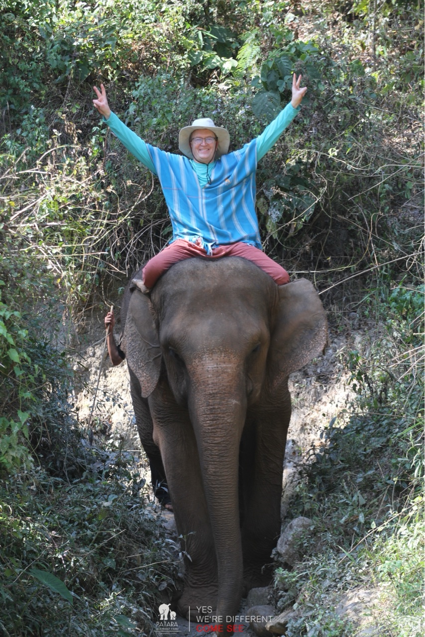 2026-01-24_11-48-00_Elephants_9545