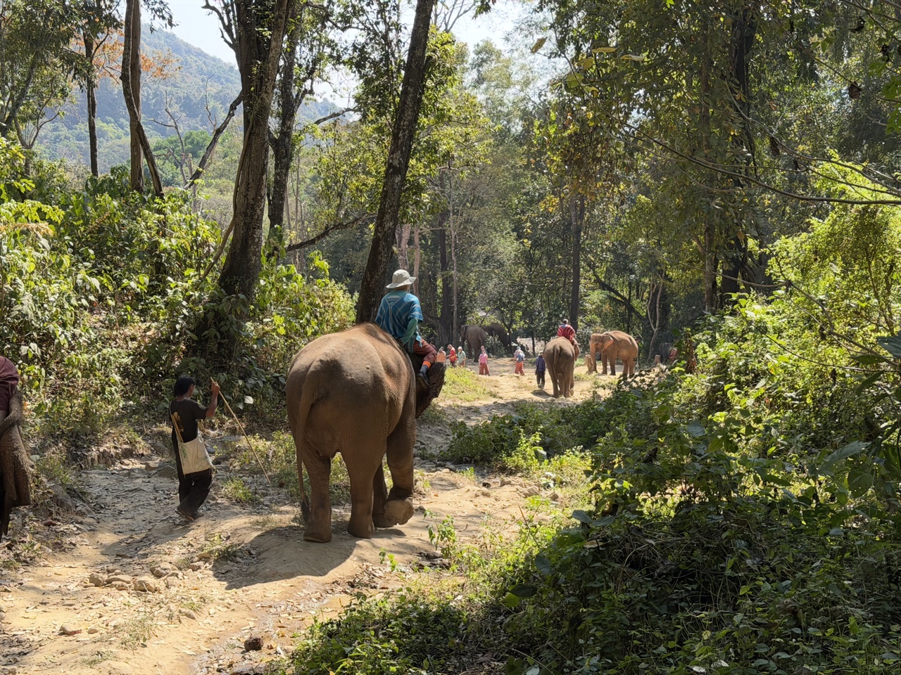 2026-01-24_11-53-50_Linette_5584