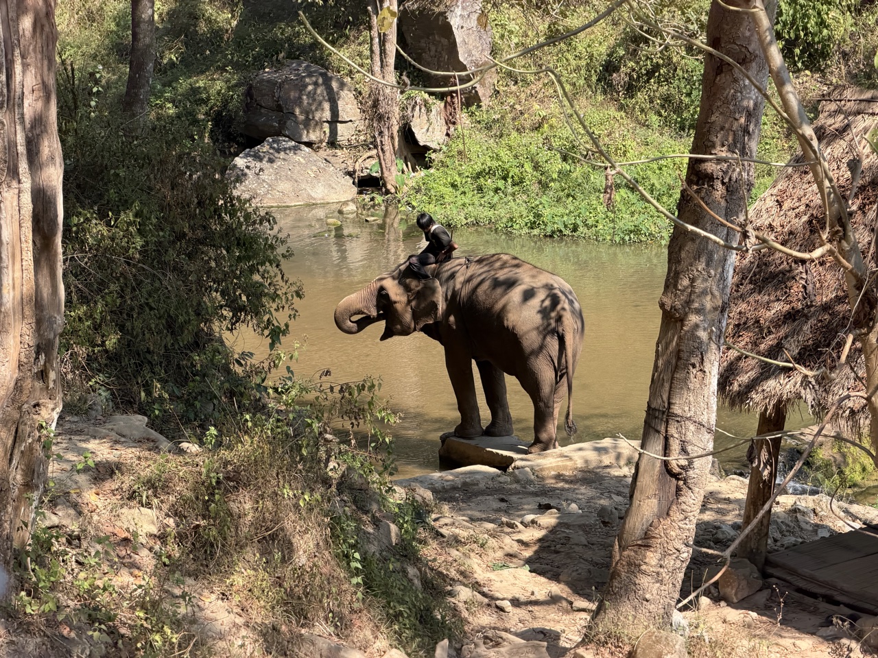 2026-01-24_11-58-56_Randy_3961