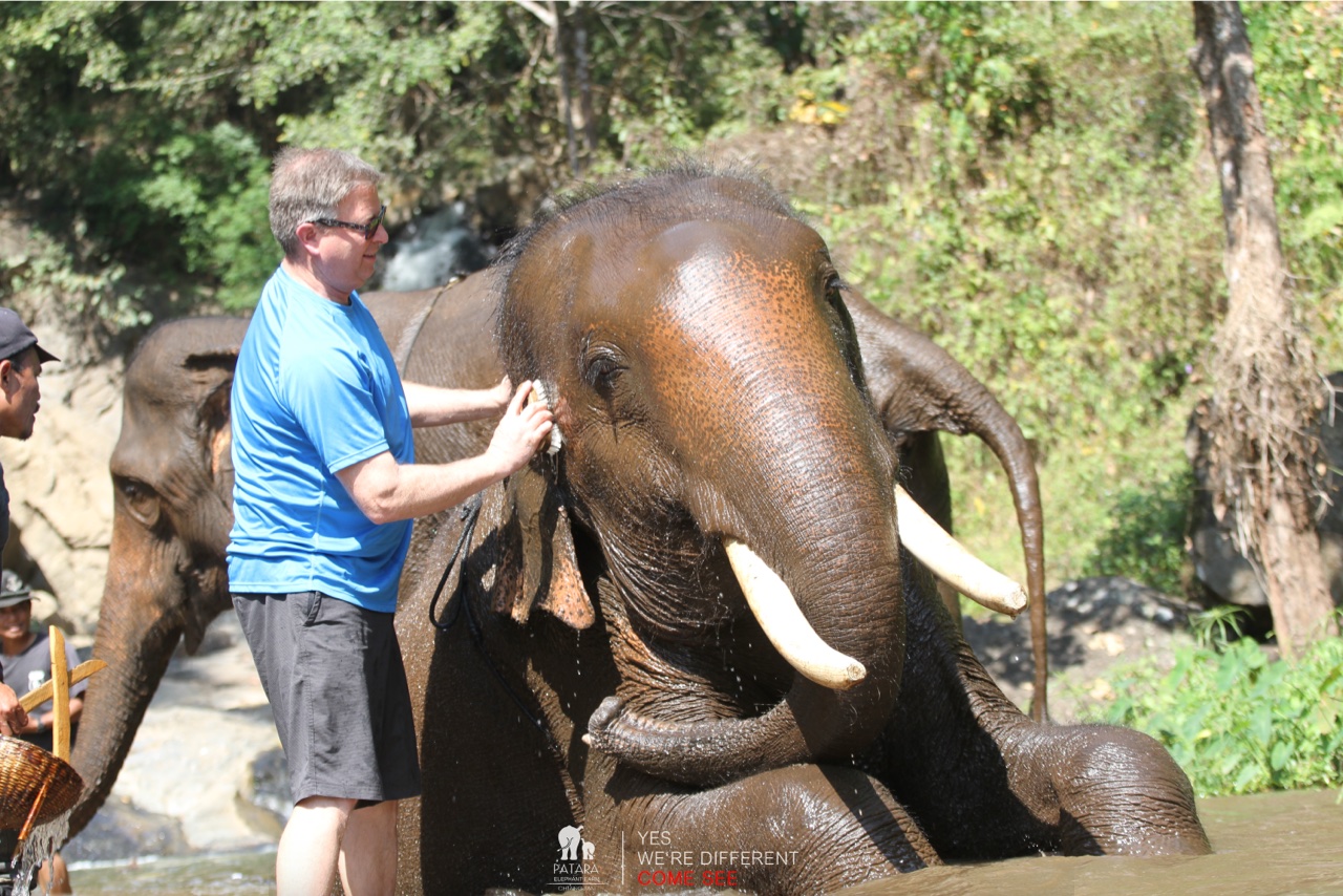 2026-01-24_12-47-10_Elephants_9595