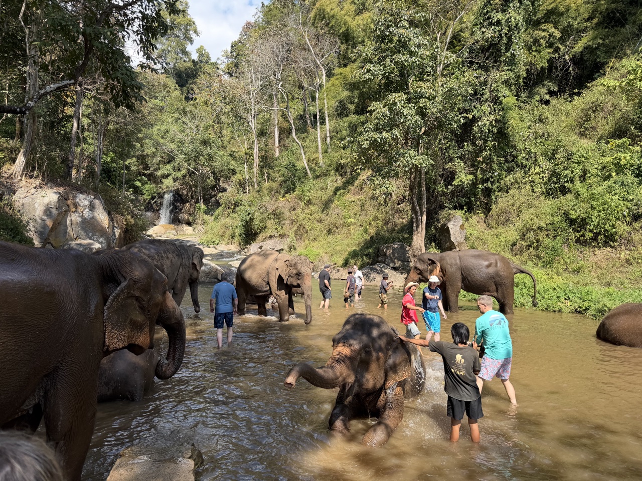 2026-01-24_12-48-45_Randy_3975