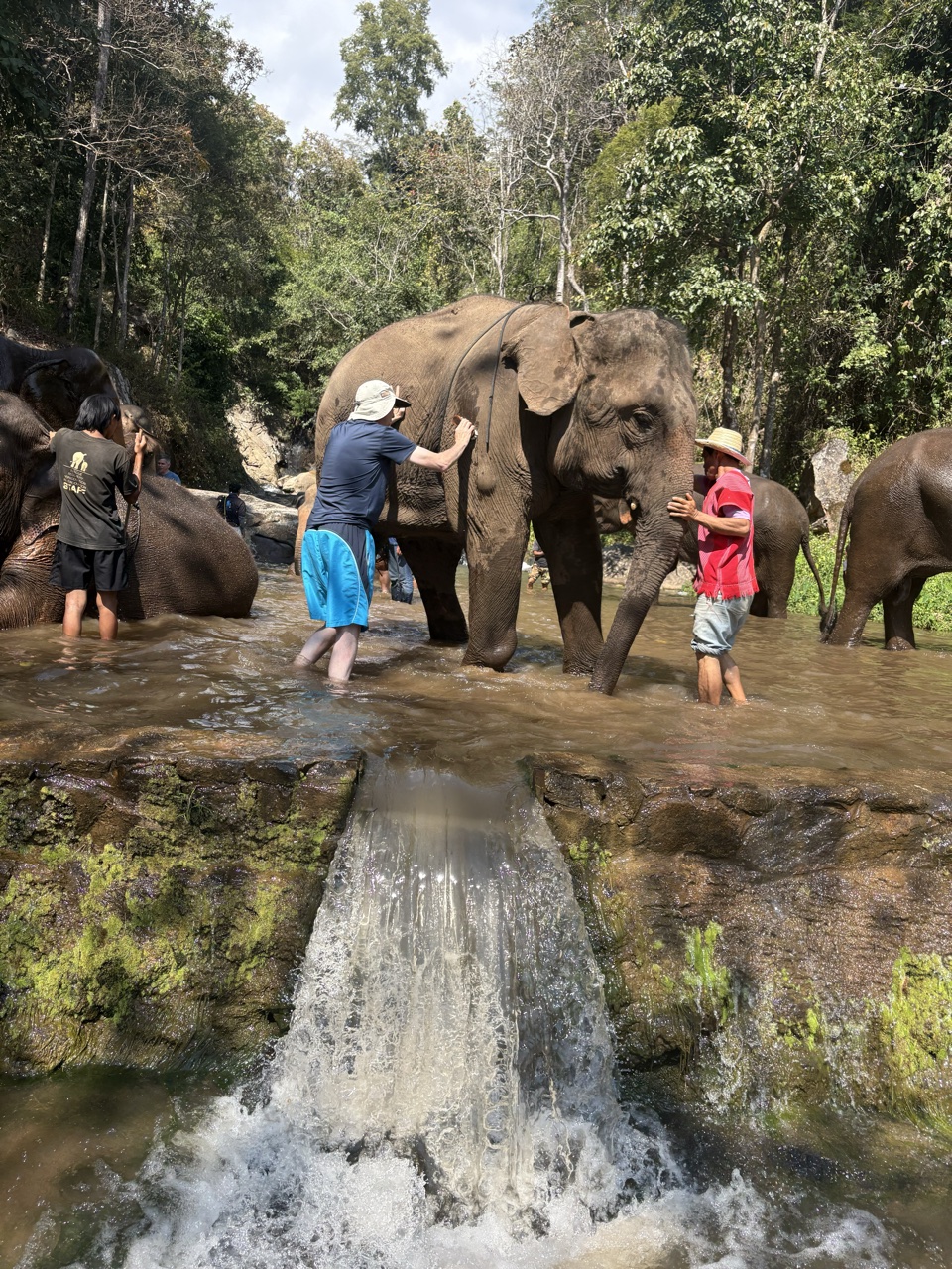 2026-01-24_12-49-27_Lesa_0716