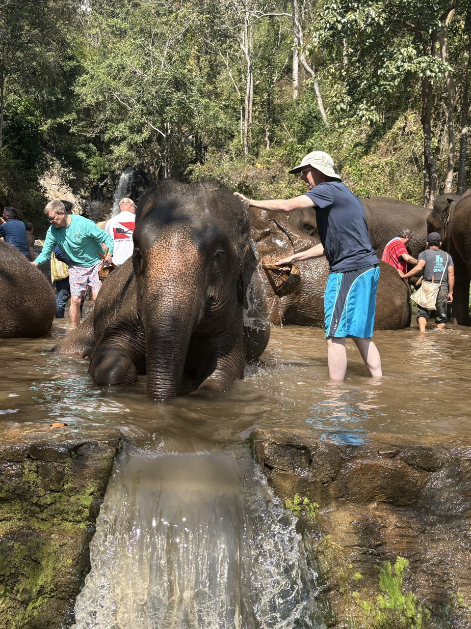 2026-01-24_12-51-02_Lesa_0720