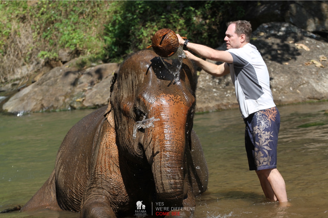 2026-01-24_12-51-09_Elephants_9607