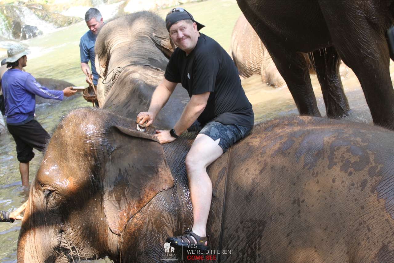 2026-01-24_12-51-24_Elephants_9604