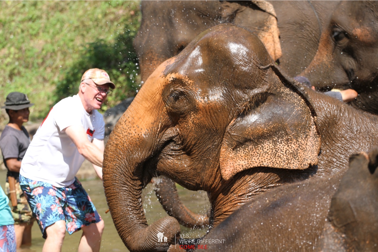 2026-01-24_12-52-20_Elephants_9615