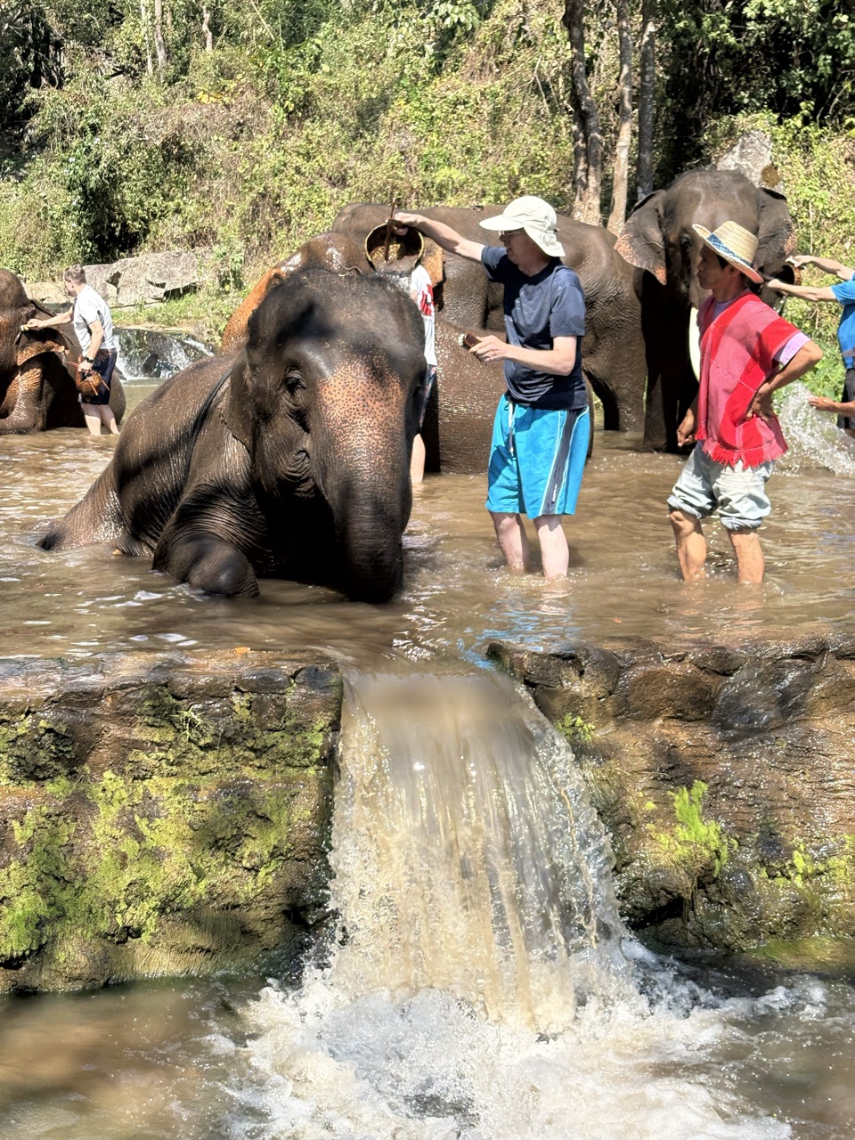 2026-01-24_12-52-26_Lesa_0722