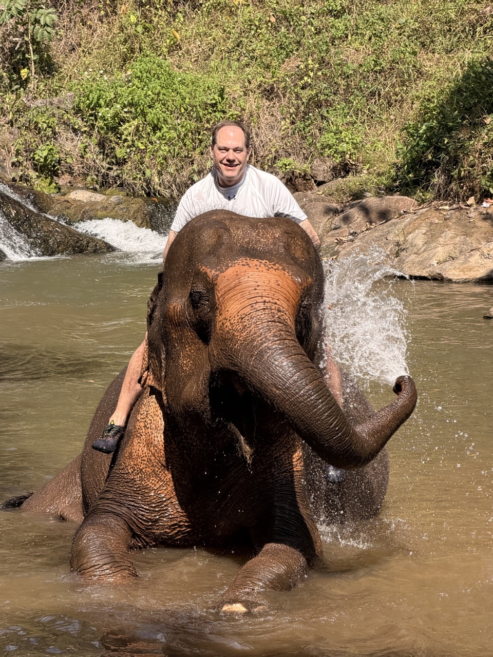 2026-01-24_12-53-16_Sharon_2218