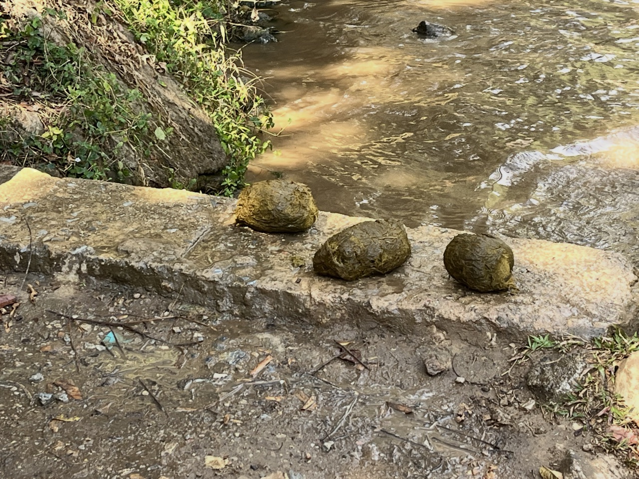 2026-01-24_12-57-02_Valerie_6305