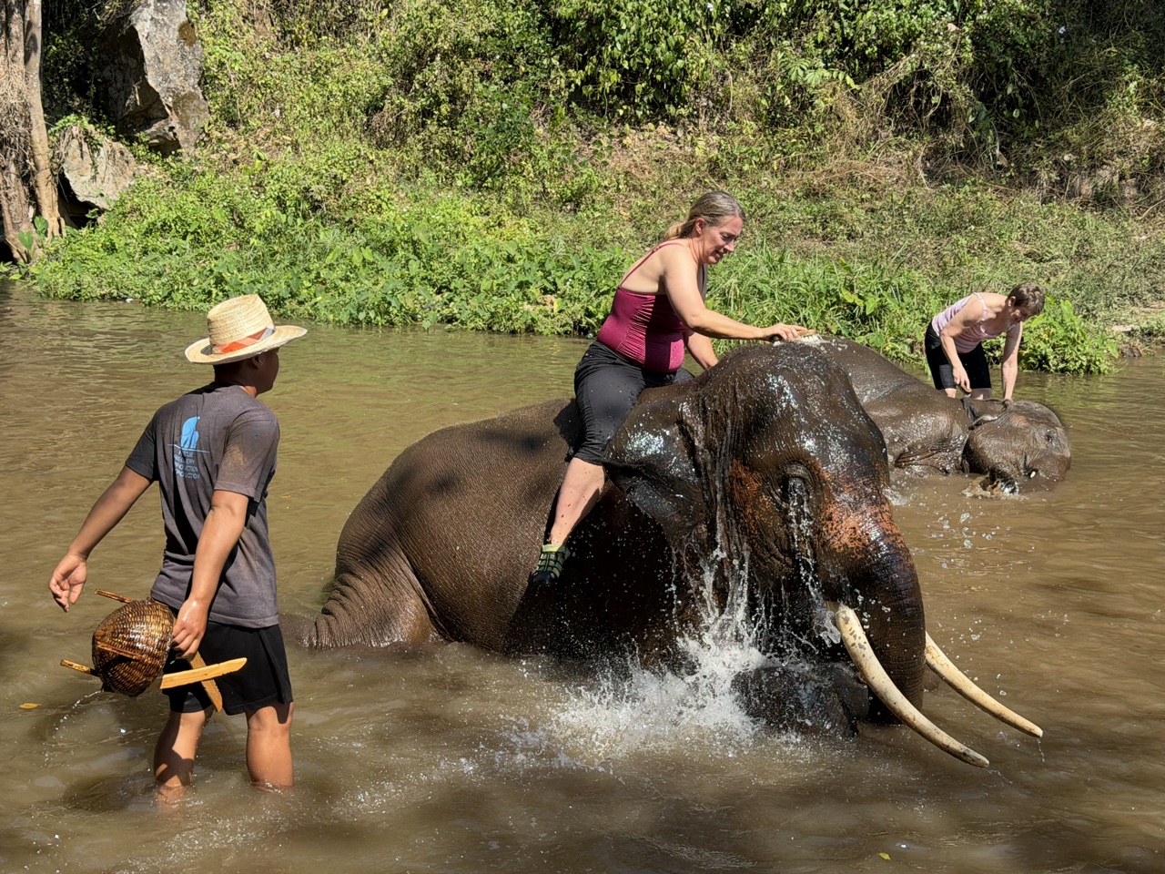 2026-01-24_12-58-27_Linette_5598