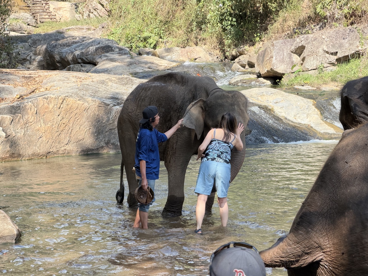 2026-01-24_12-59-05_Linette_5601