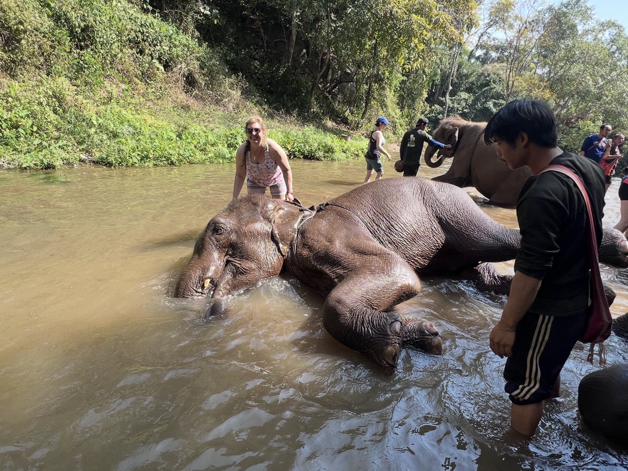 2026-01-24_12-59-47_Devo_0493