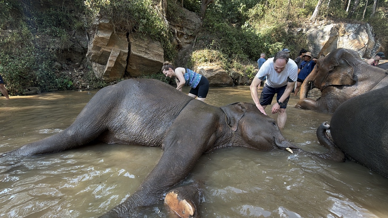 2026-01-24_13-01-10_Sharon_2229