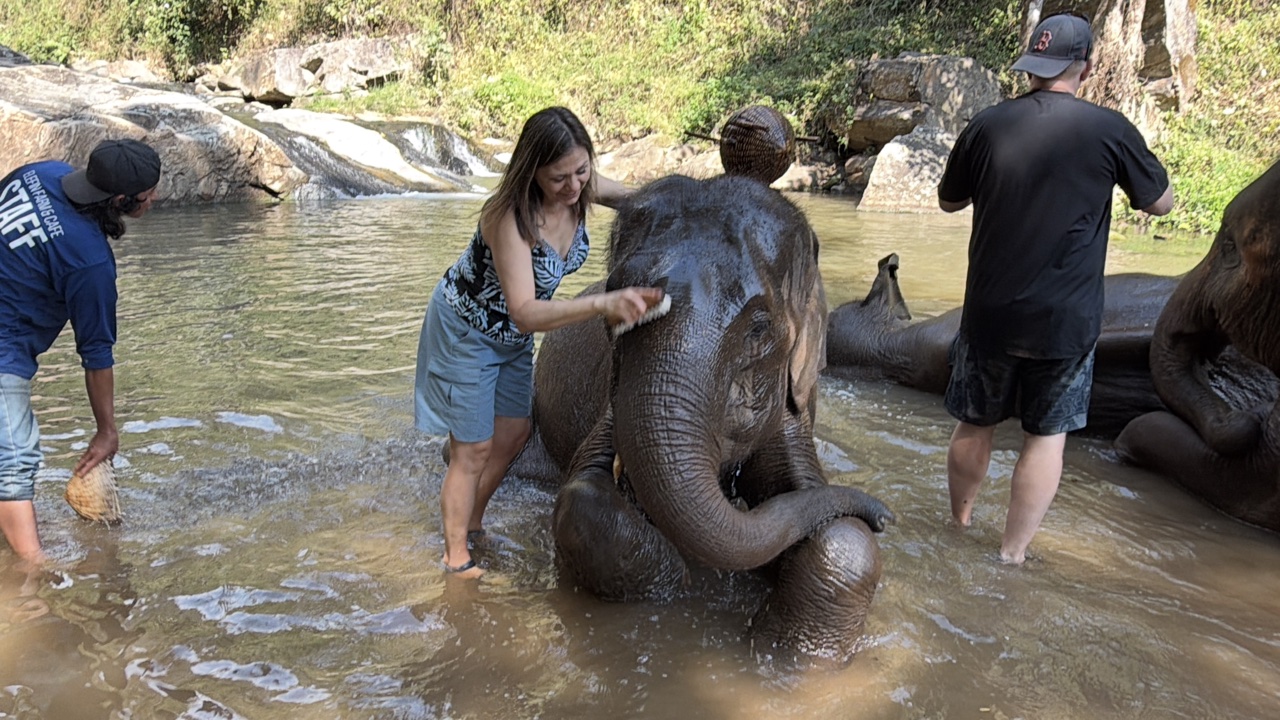 2026-01-24_13-01-37_Linette_5631