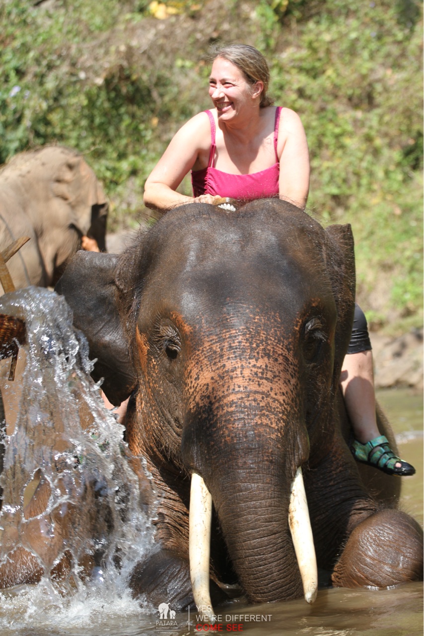 2026-01-24_13-05-57_Elephants_9634