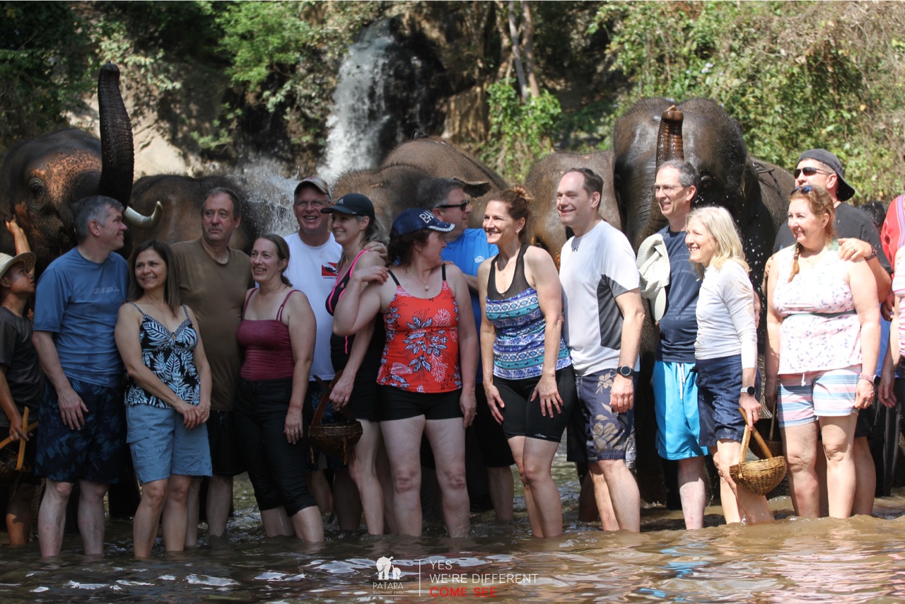 2026-01-24_13-08-02_Elephants_9684