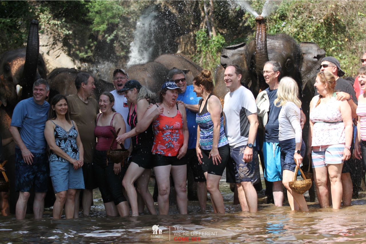 2026-01-24_13-08-04_Elephants_9685