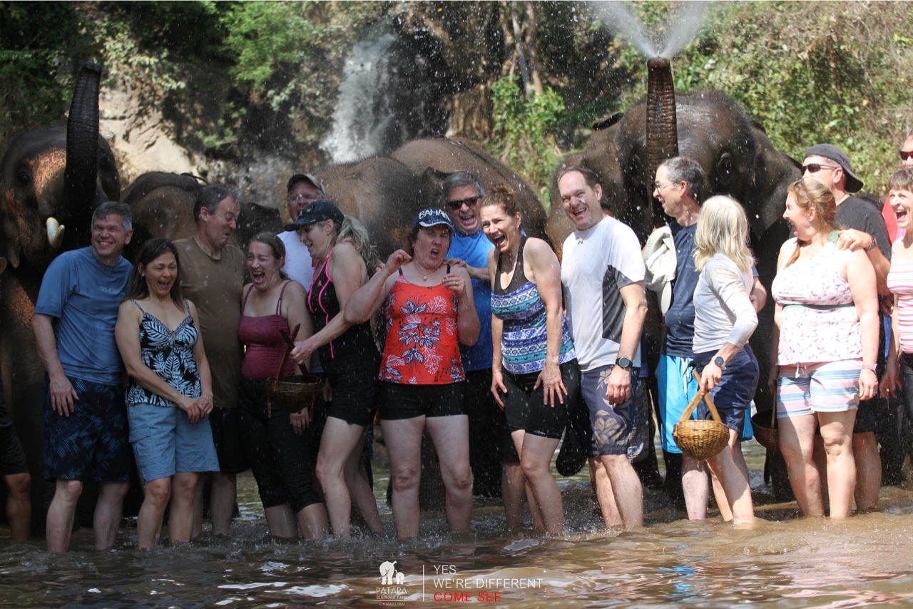 2026-01-24_13-08-06_Elephants_9686